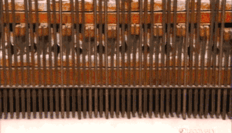 1638338449995026.gif 微信图片_20211129105209.gif