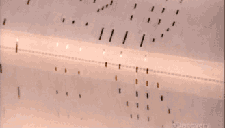 1638338540477776.gif 微信图片_20211129105219.gif